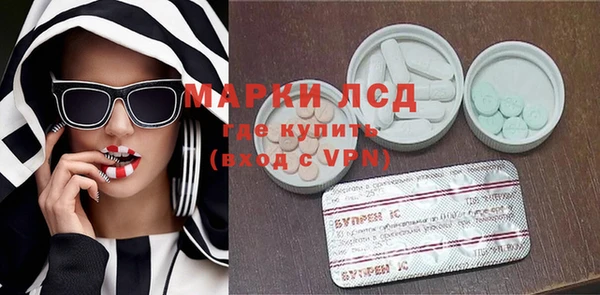 СК Сосновый Бор