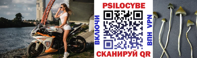 Галлюциногенные грибы мицелий  Струнино 